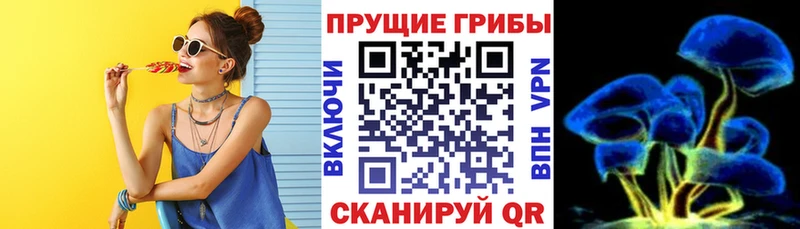 Галлюциногенные грибы GOLDEN TEACHER  hydra ссылка  darknet официальный сайт  Кологрив 